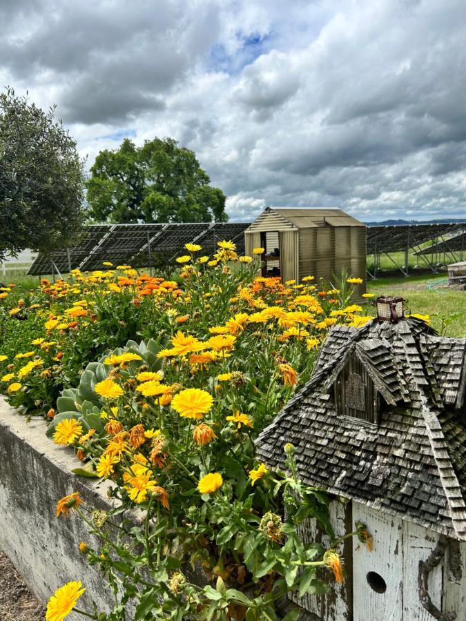 The Gables Wine Country Inn Santa Rosa Esterno foto
